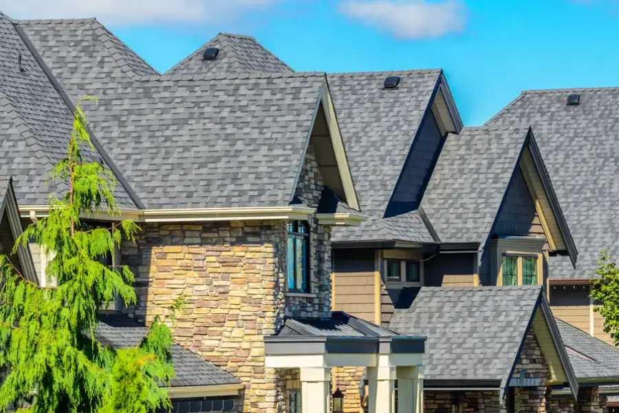 What To Do If You Notice Damage To Your Shingle Roof Hayward, CA